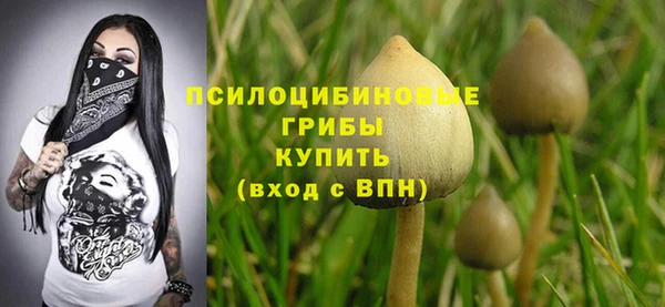spice Алзамай