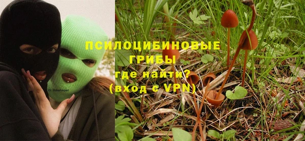 spice Алзамай