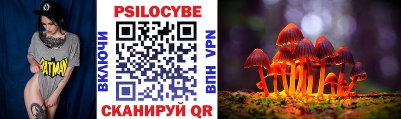 наркотики Бахчисарай Псилоцибиновые грибы мицелий
